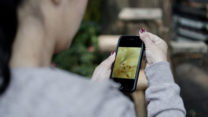 Czym charakteryzują się ringke etui?