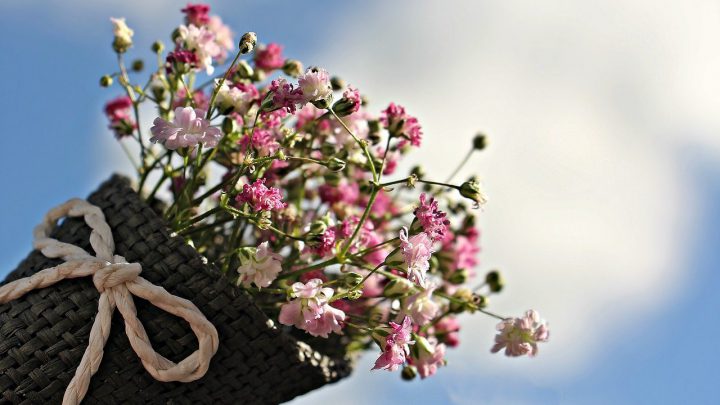 Hurtownia dekoracji – artykuły dla każdego florysty
