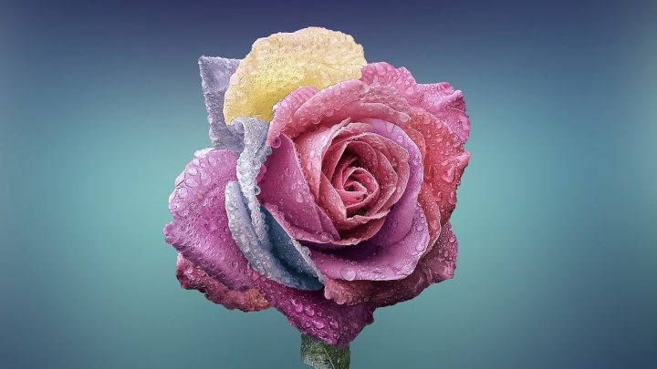 Kiedy warto korzystać z oferty hurtowni florystycznej?